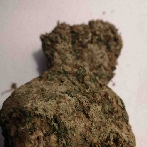 Critical Kush