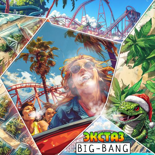 Бошка Big Bang