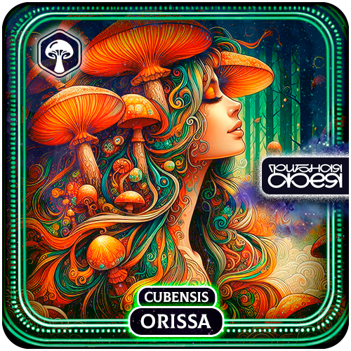 Orissa