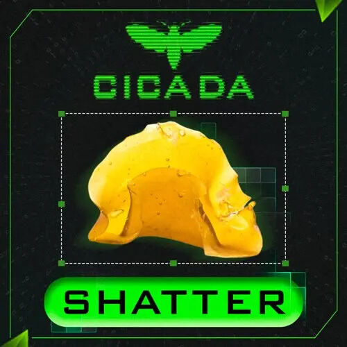 Shatter + ПРОБЫ