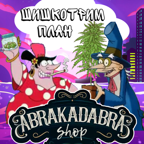 Твой план