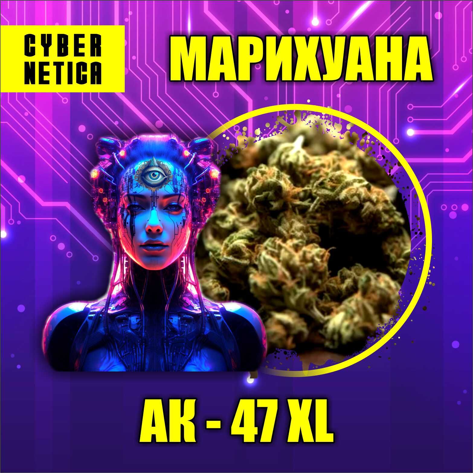 Шишки | АК-47 XL