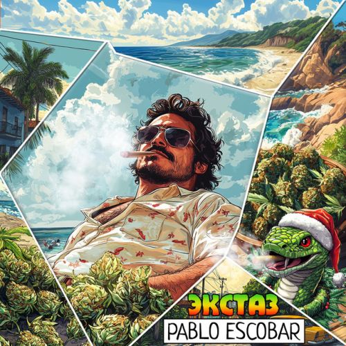 Бошки Pablo Escobar