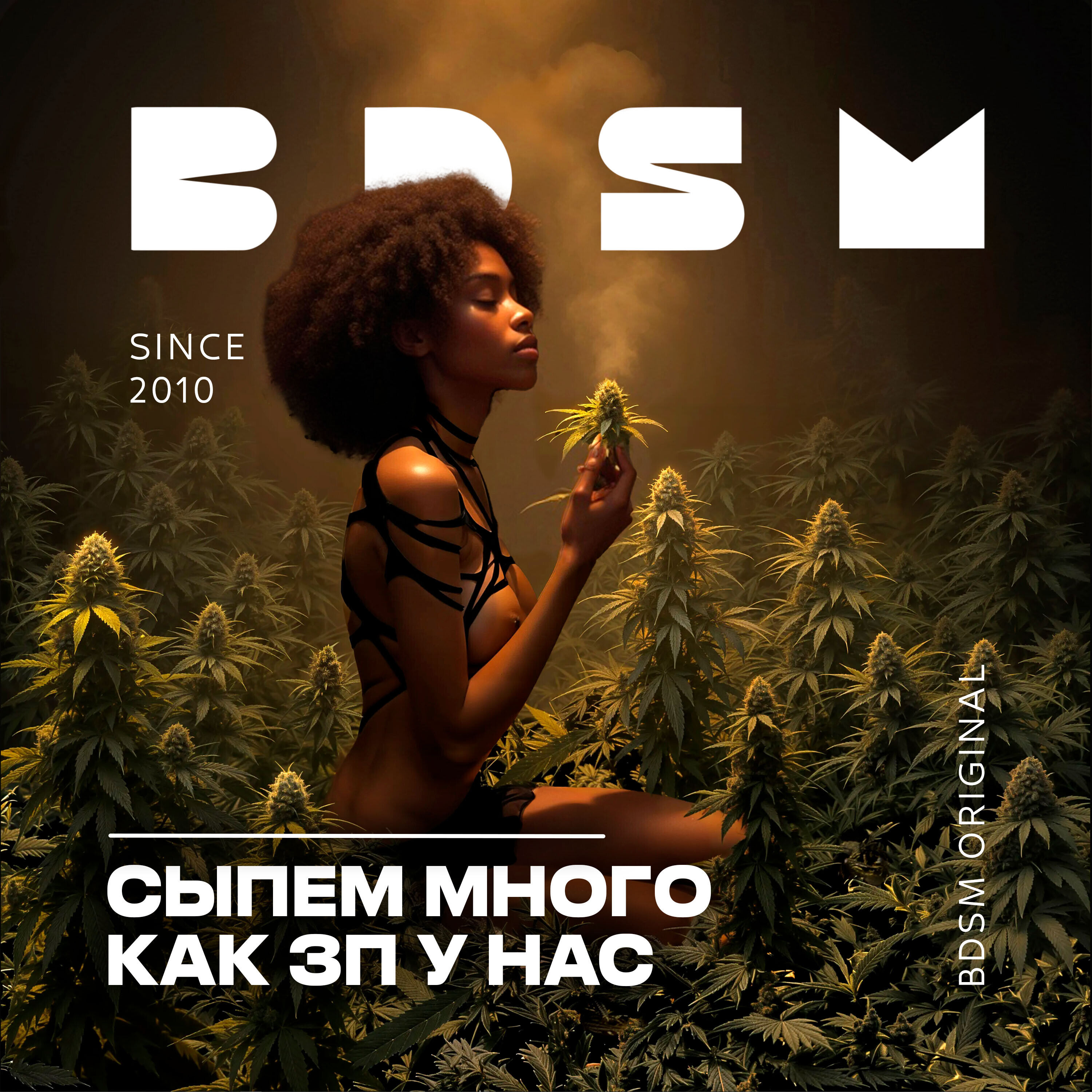 Молотый "MIX" Плана