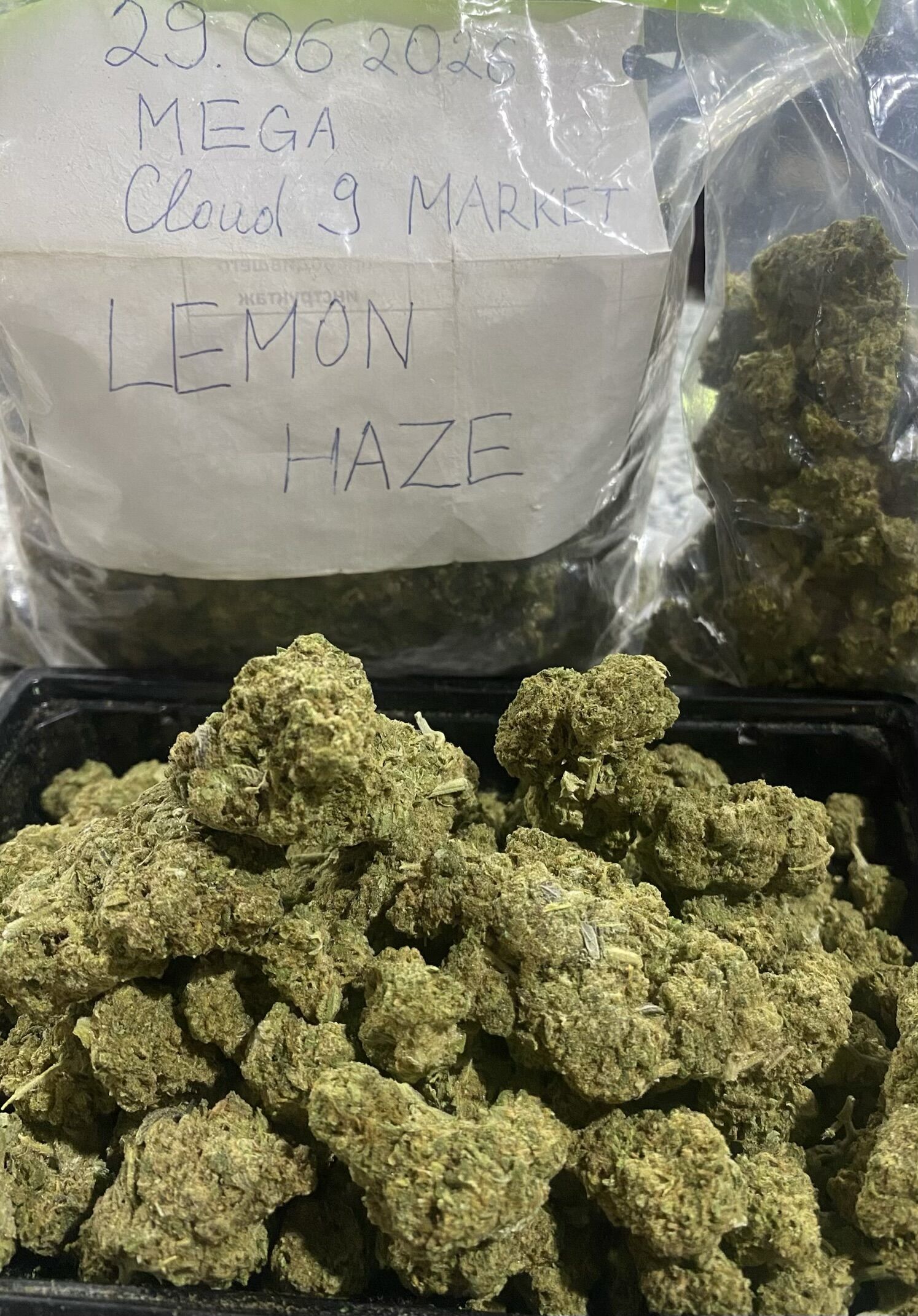 Lemon Haze