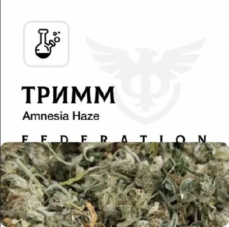 Тримм [Amnesia Haze]